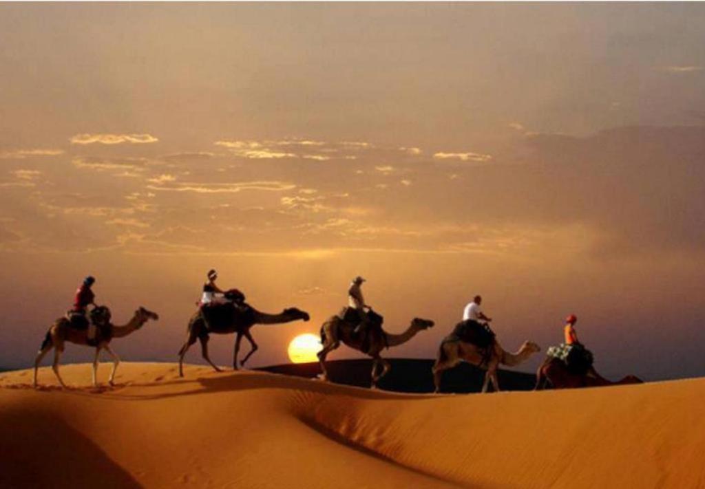 Bed and Breakfast Camp Sahara Majestic à M'Hamid El Ghizlane Extérieur photo